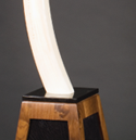 elephant tusk
